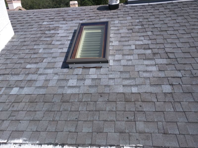 Roof Skylight Repair detail