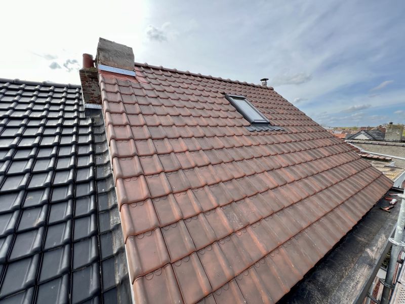 Roof Skylight Repair detail