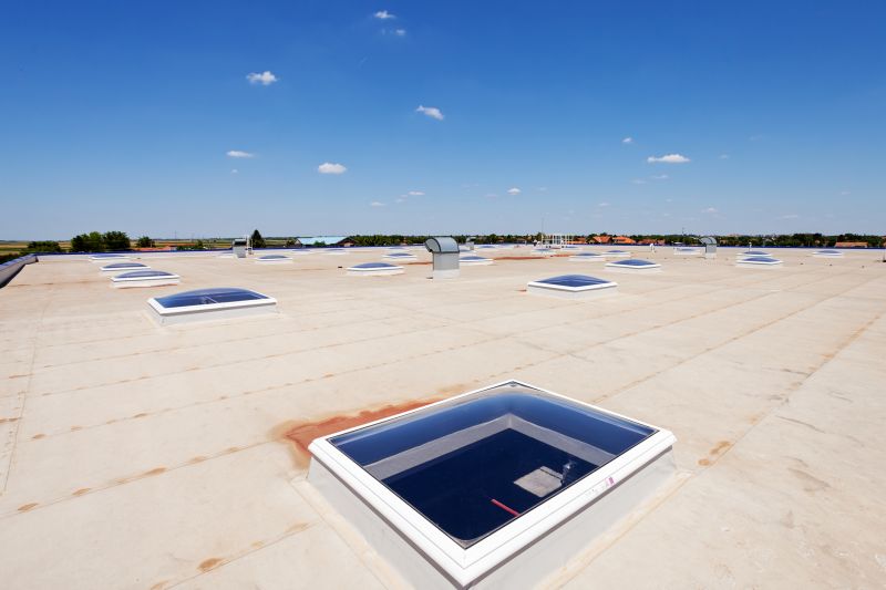 Roof Skylight Repair detail